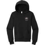 Scary Badgers Youth Sponge Fleece Pullover Hoodie