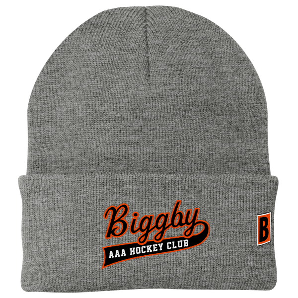 Biggby AAA Knit Cap