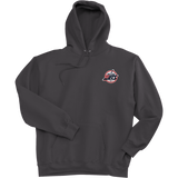 Metro Jets Ultimate Cotton - Pullover Hooded Sweatshirt