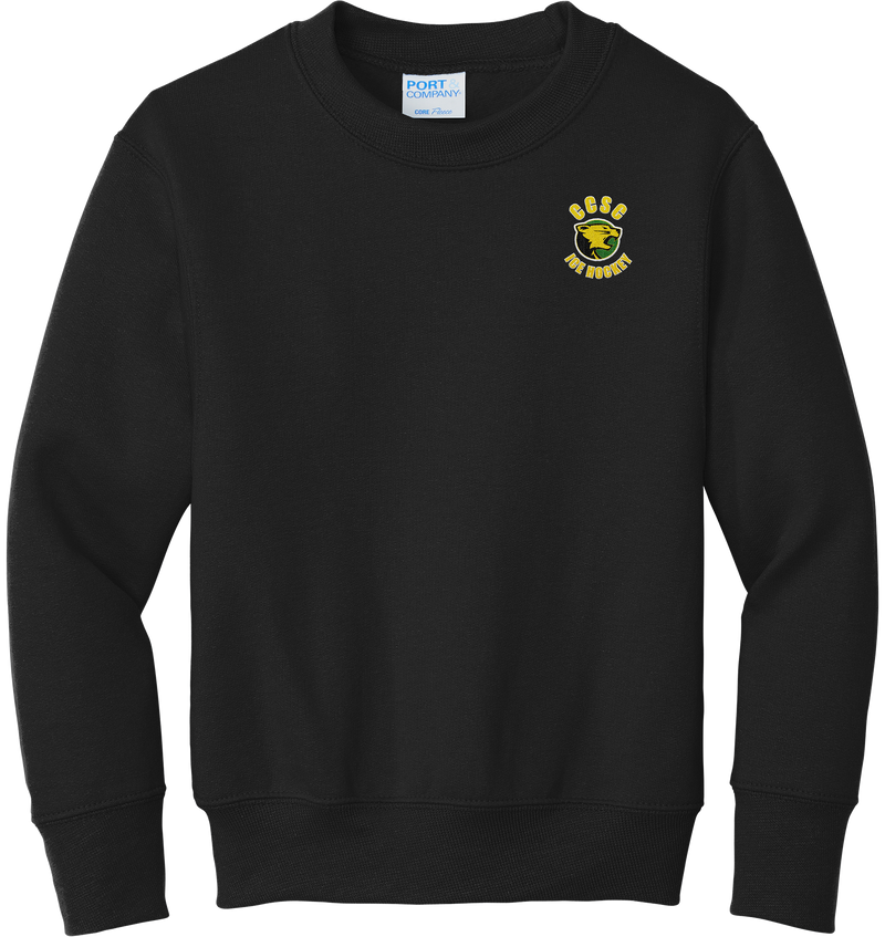 Chester County Youth Core Fleece Crewneck Sweatshirt